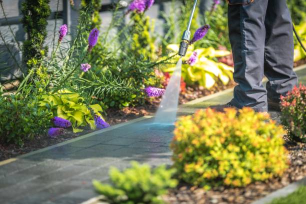 Best Deck and Patio Pressure Washing in Alba, NY