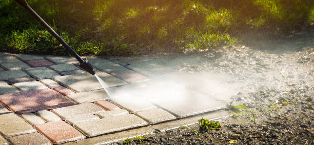 Best Vinyl Siding Pressure Washing in Alba, NY